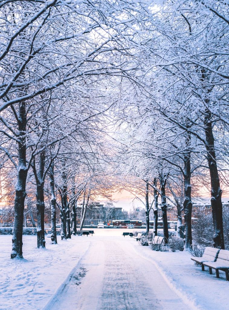 Winter is the best time to visit Stockholm if you want to see a winter wonderland covered in ice and snow.