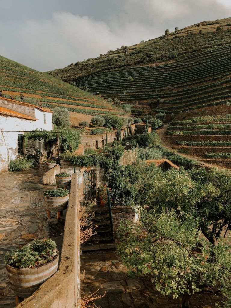 The Douro Valley is a peaceful and idyllic vacation spot in the wine lands of Portugal. It has a little something for everyone, making it one of the best places to travel in 2023.