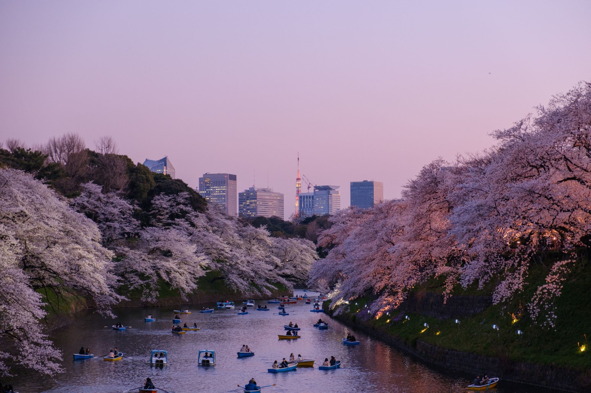 Top Tokyo Photography Locations